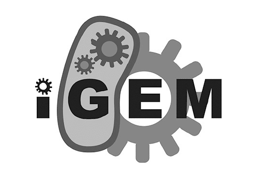 igem